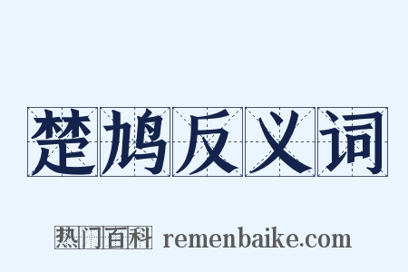 楚鸠反义词是什么意思的图片